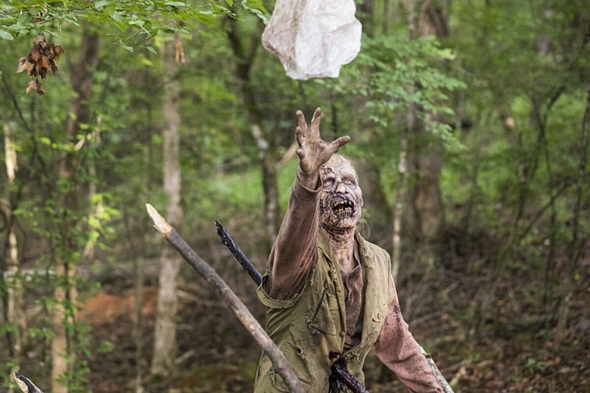zombie, the walking dead, fear the walking dead, zombík,