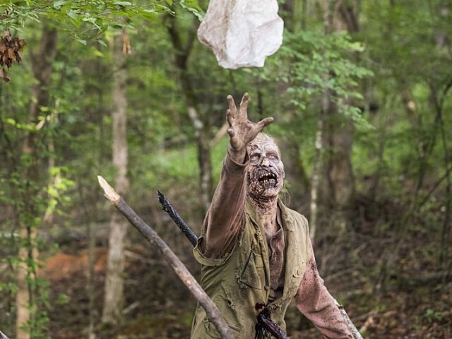 zombie, the walking dead, fear the walking dead, zombík,