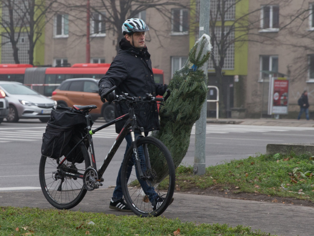 pocasie, stromcek, cyklista, bicykel,