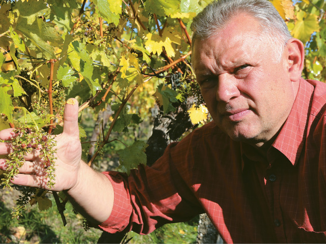 Milan Pavelka