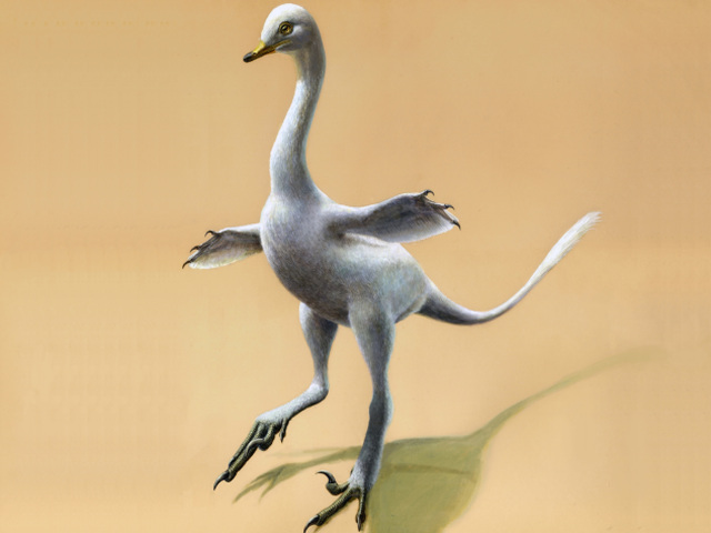 Duck Dinosaurus