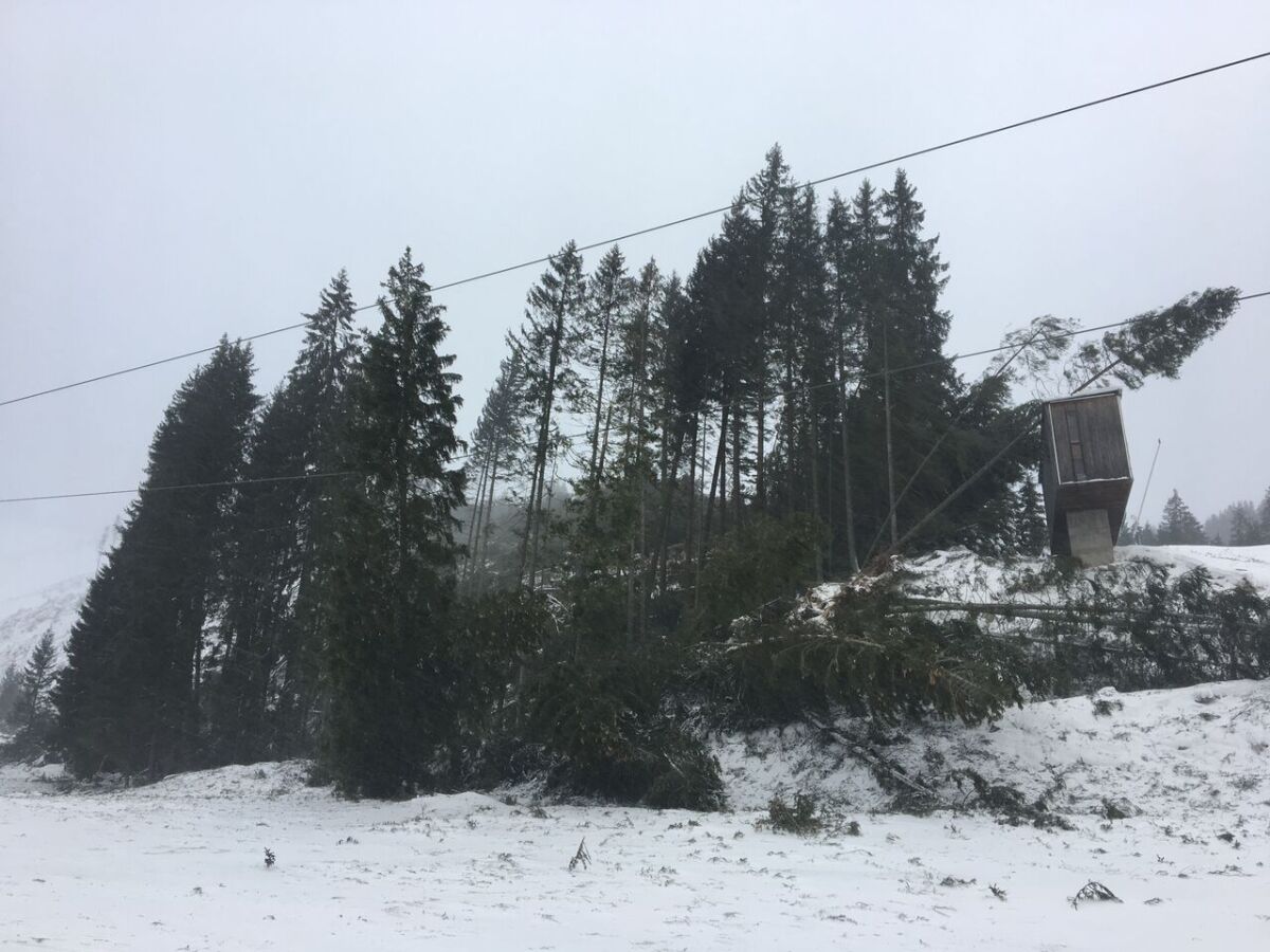 Jasná