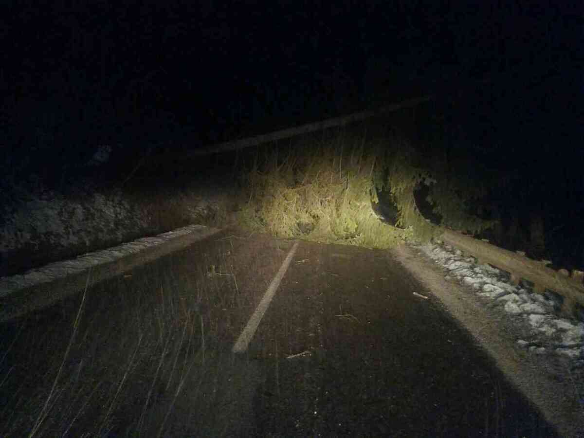 Krásno nad Kysucou