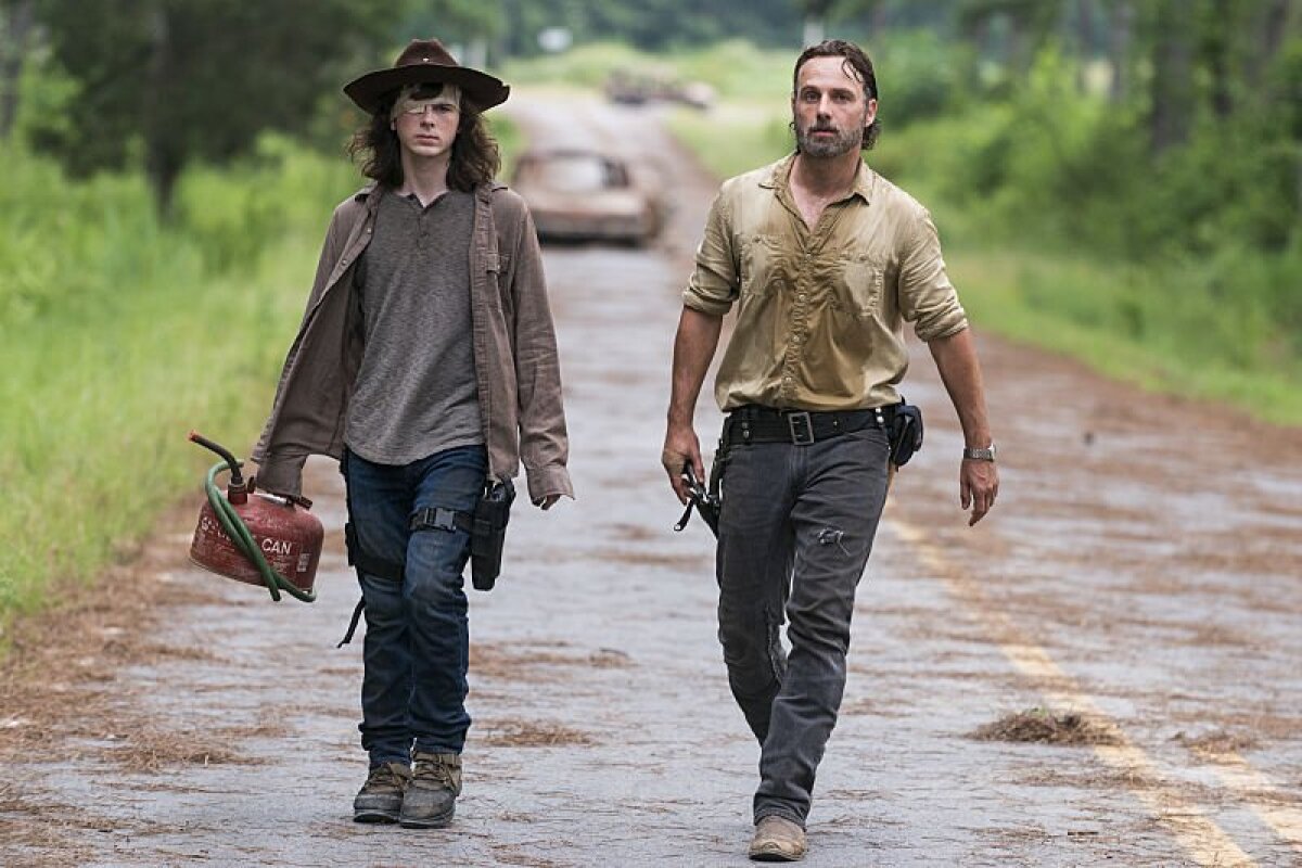the walking dead, rick, carl,