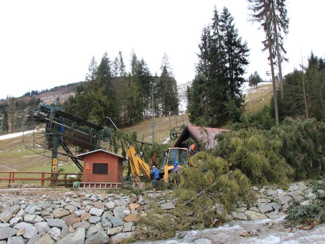 kalamita, vratna dolina, strom, stromy