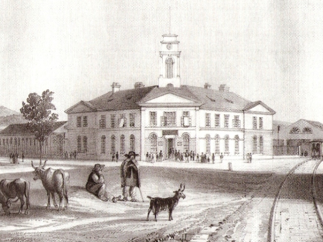 konska1