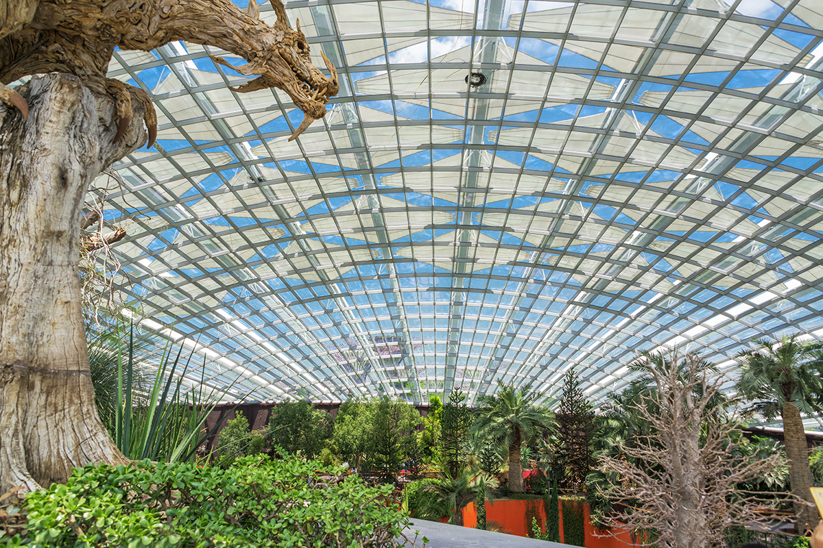 Singapur, botanická záhrada