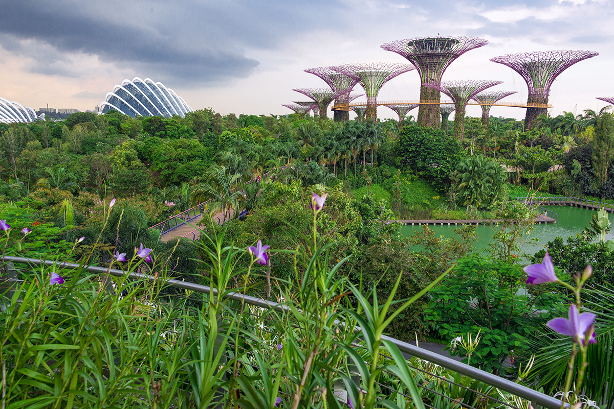 Singapur