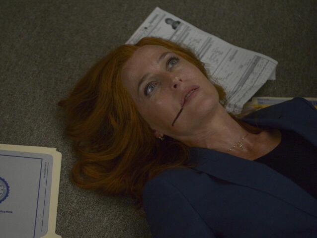 scullyová, gillian anderson, scully, akty x, x-files,