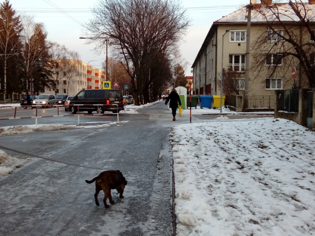 chodnik, poladovica, lad, zima, nove mesto nad vahom