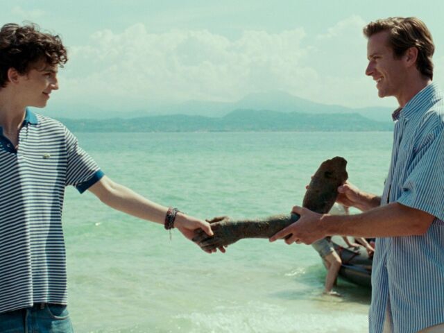 Armie Hammer, Timothée Chalamet