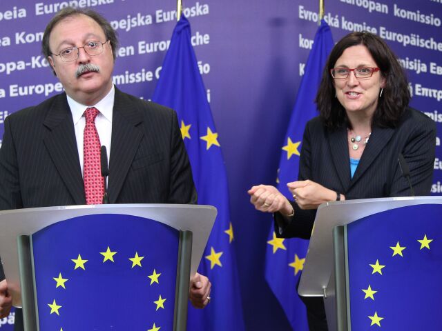 Grigol Vašadze, Cecilia Malmströmová,