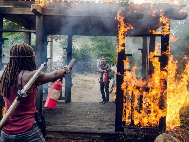 the walking dead, walking dead,