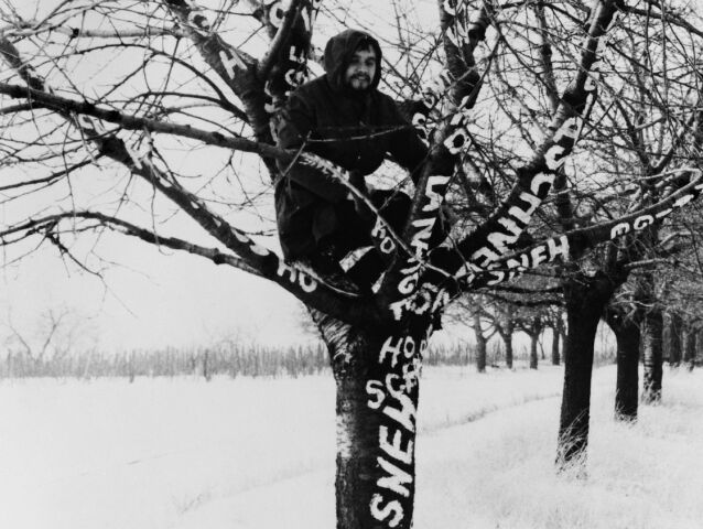 Dezider Tóth, Sneh na strome, 1970
