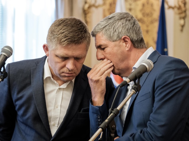 koalicna rada, fico, bugar