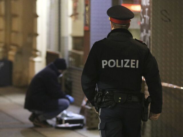 rakúsko, policajti, policajt