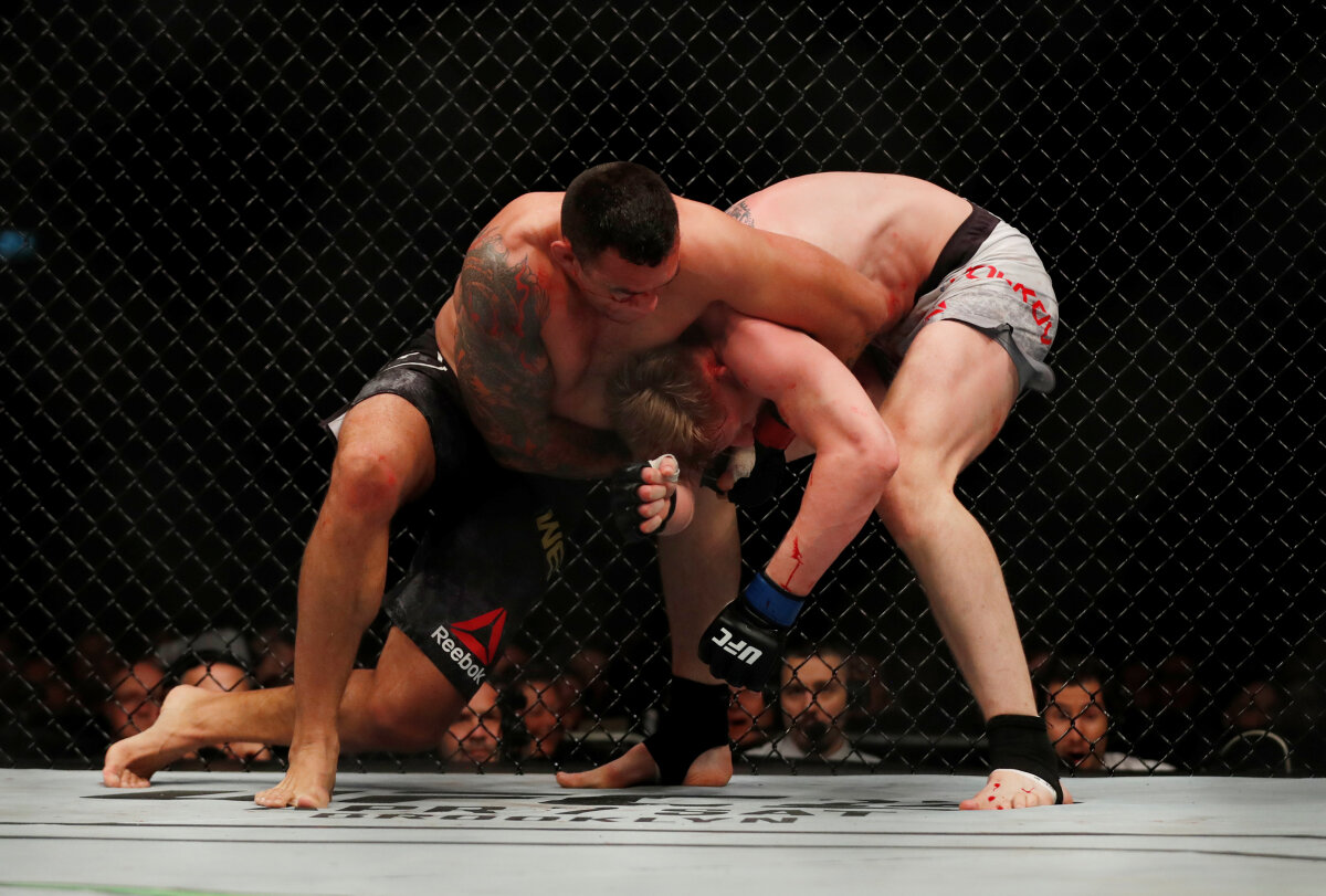 UFC-HEAVYWEIGHT/WERDUM-VOLKOV