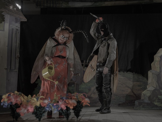 Jan Švankmajer Hmyz