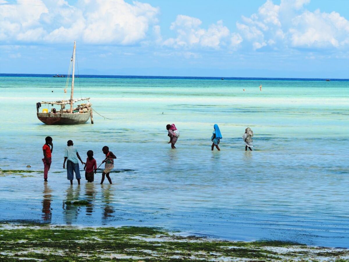 Zanzibar, more, oceán, odliv