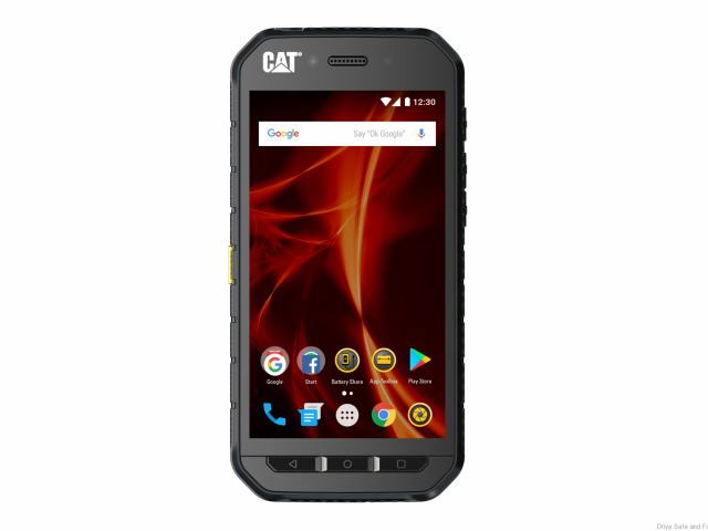 CAT S31