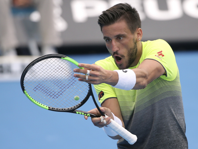 Damir Džumhur