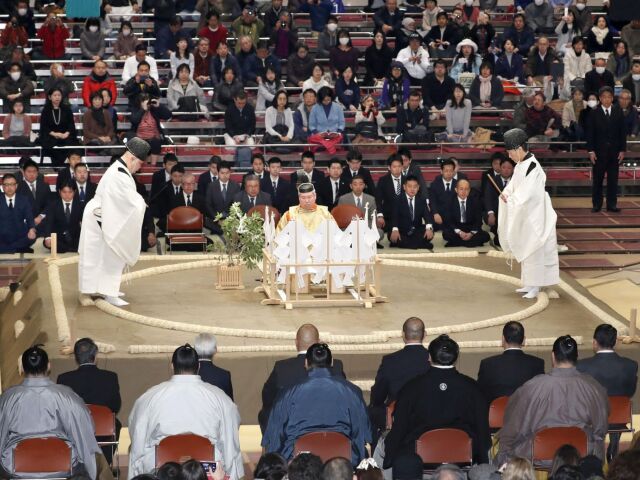 sumo