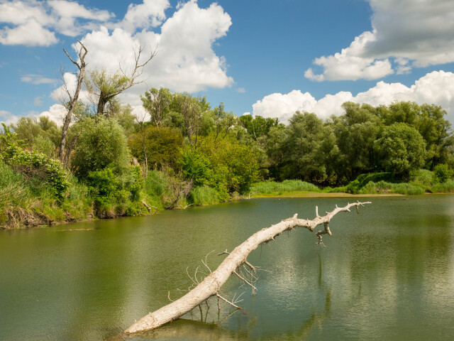 barat, BaraÌt, dunaj, danube parks 2.0, ochranar, priroda, voda, rieka, zelen, dunajske luhy, luzne lesy