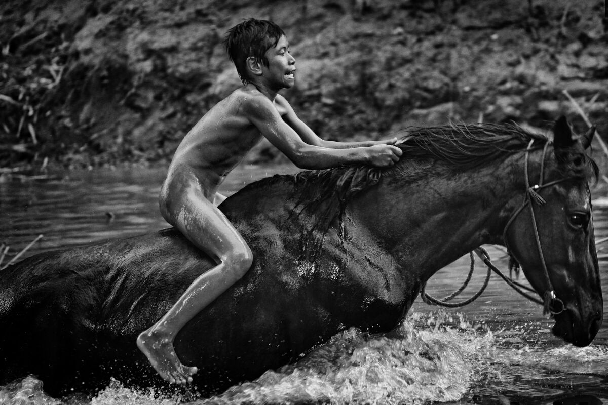 Holandsko Fotografia Súťaž World Press Photo
