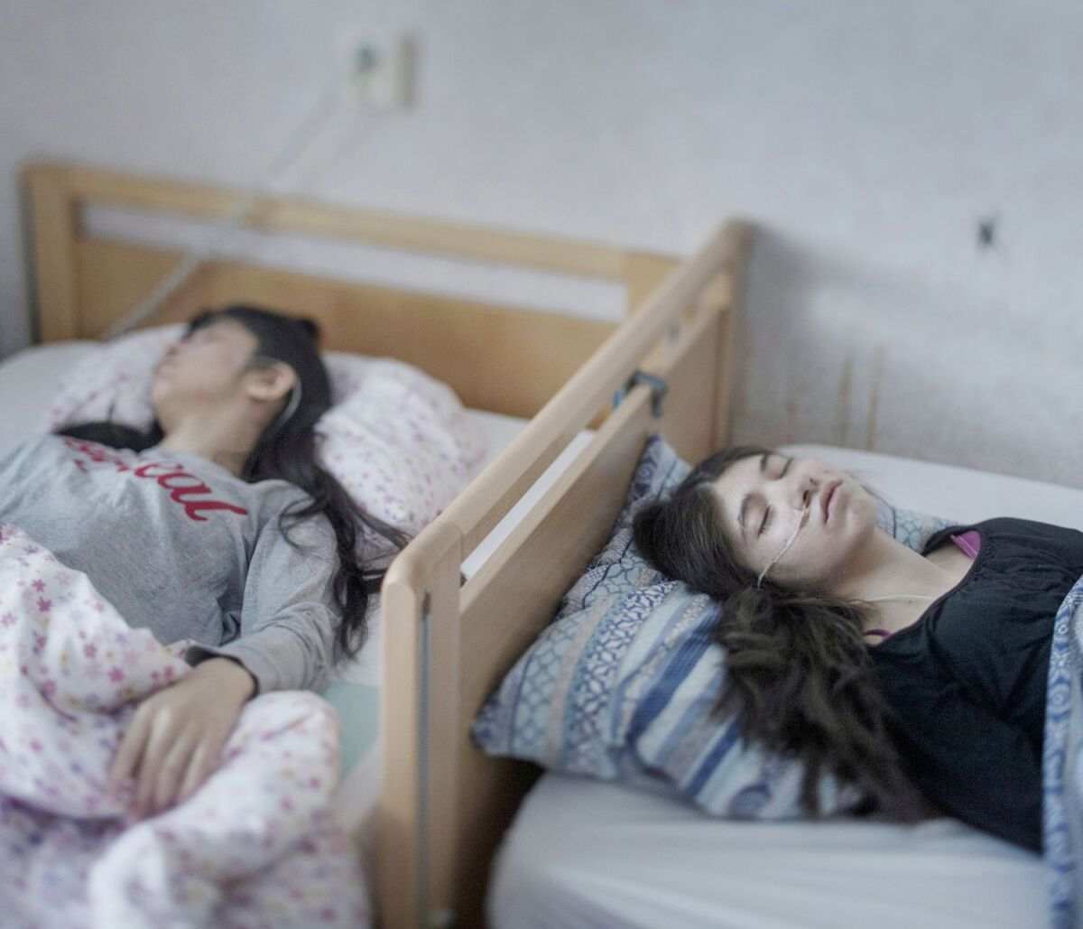 Holandsko Fotografia Súťaž World Press Photo