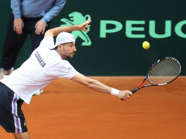 tenis, Davis cup, stvorhra, Igor Zelenay,