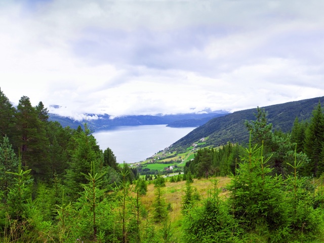 les, stromy, fjordy