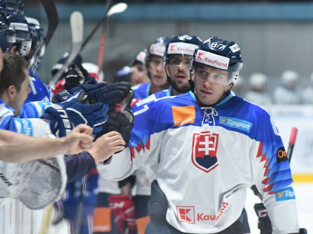 SR Nitra hokej MS2018 EHCh príprava Francúzsko NRX