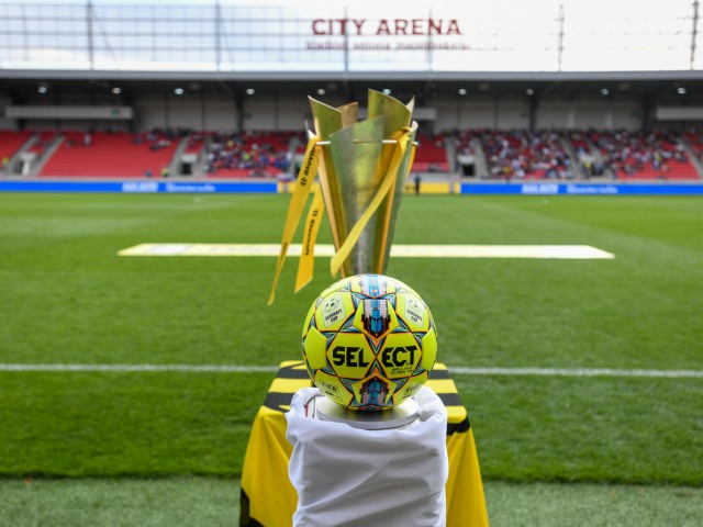 Slovnaft Cup, trofej