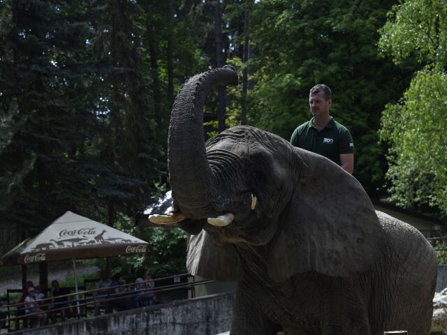 ZOO Bojnice letná sezóna otvorenie