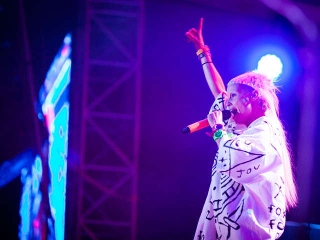 Die Antwoord