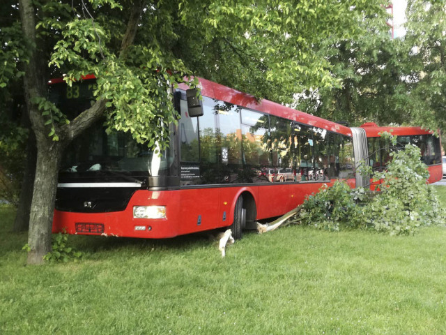 autobus Dúbravka svojvoľný pohyb