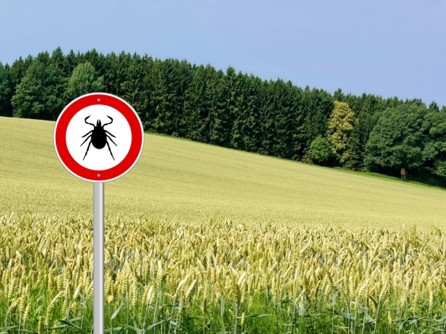 shutterstock 646569397