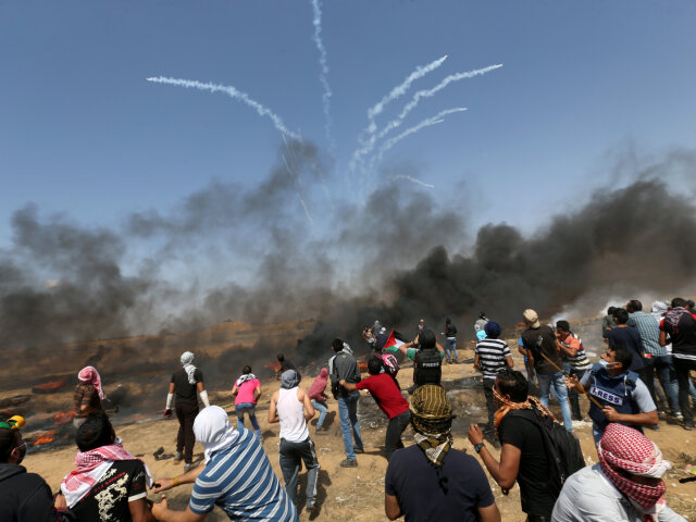 izrael, palestína, protesty