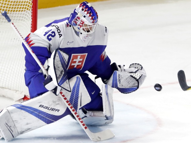 rybár hokej ms