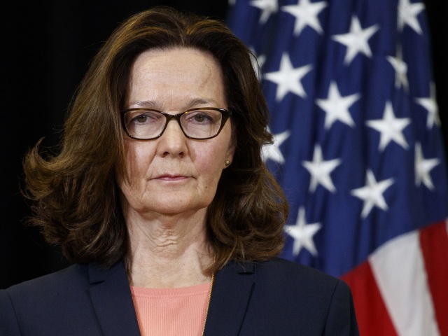 Gina Haspelová