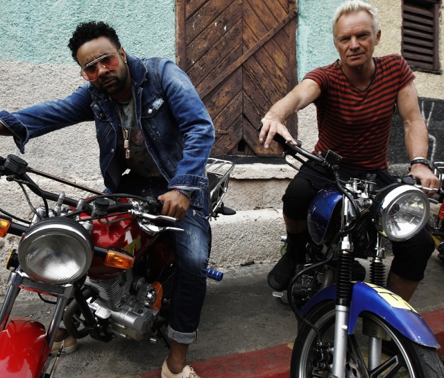Sting Shaggy