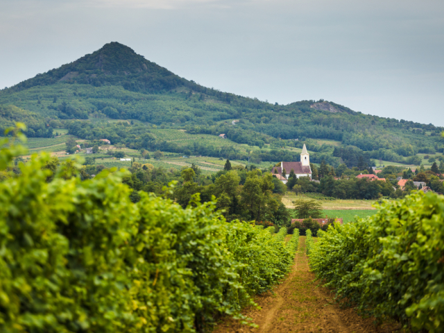 Tokaj, Maďarsko, vinica, kostol, vrch, príroda