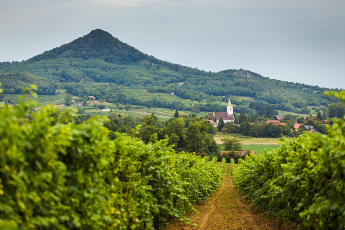 Tokaj, Maďarsko, vinica, kostol, vrch, príroda