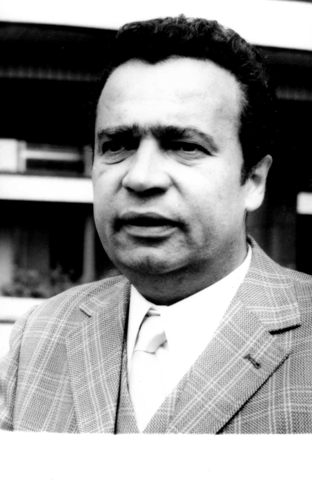 Vladimír Menšík