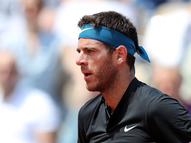 Juan Martín del Potro
