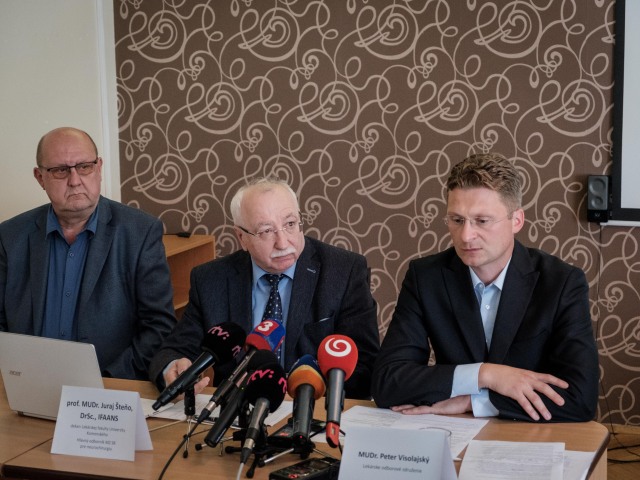 zdravotnictvo, bohmer, steno, visolajsky