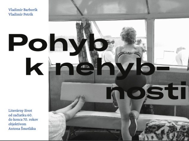 Vladimír Barborík Vladimír Petrík Pohyb k nehybnosti