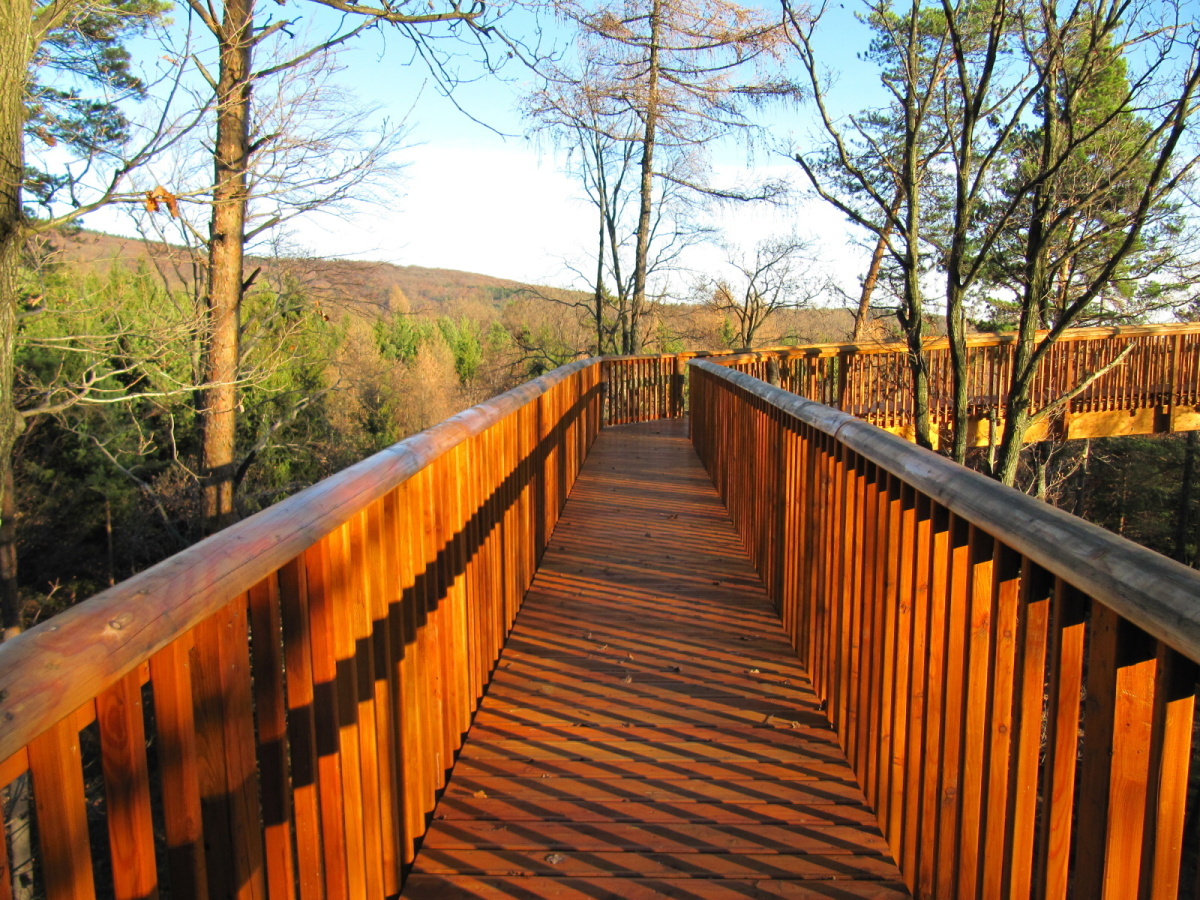 Baumwipfelweg Althodis  c  ARGE Burgenlaendische Naturparke