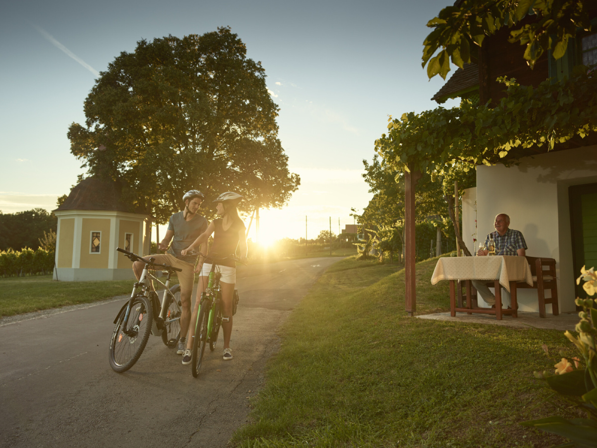 Csarterberg_Rad_Winzer_Sonnenuntergang