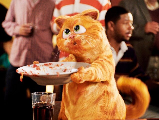 kocúr Garfield